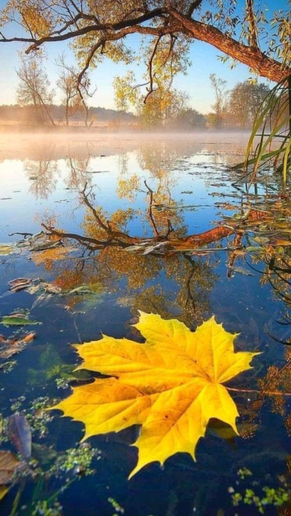 пейзажи осенние