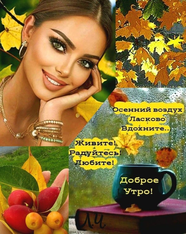 красивое осеннее доброе утро
