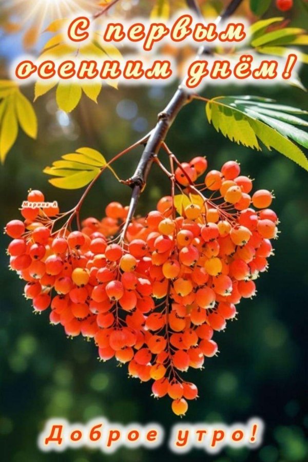доброе осеннее утро сентября с пожеланиями
