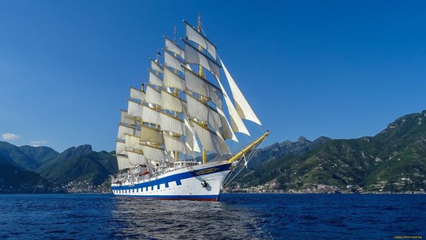 роял клипер