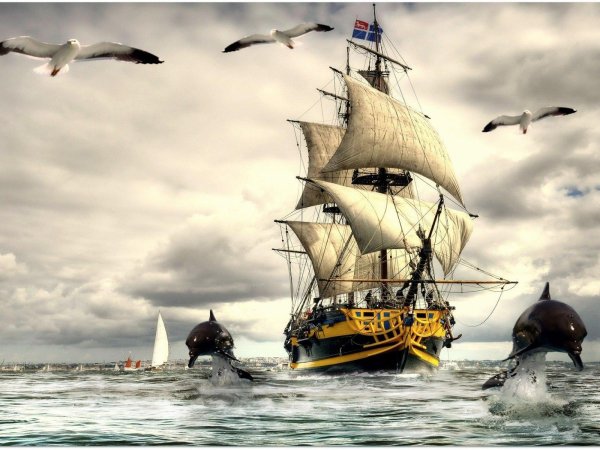 фрегат бригантина корвет