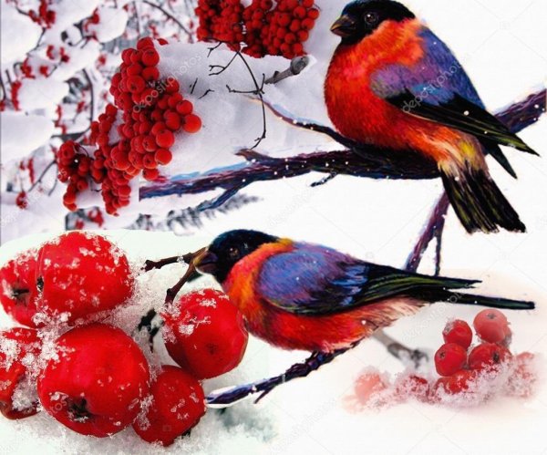 уссурийский снегирь