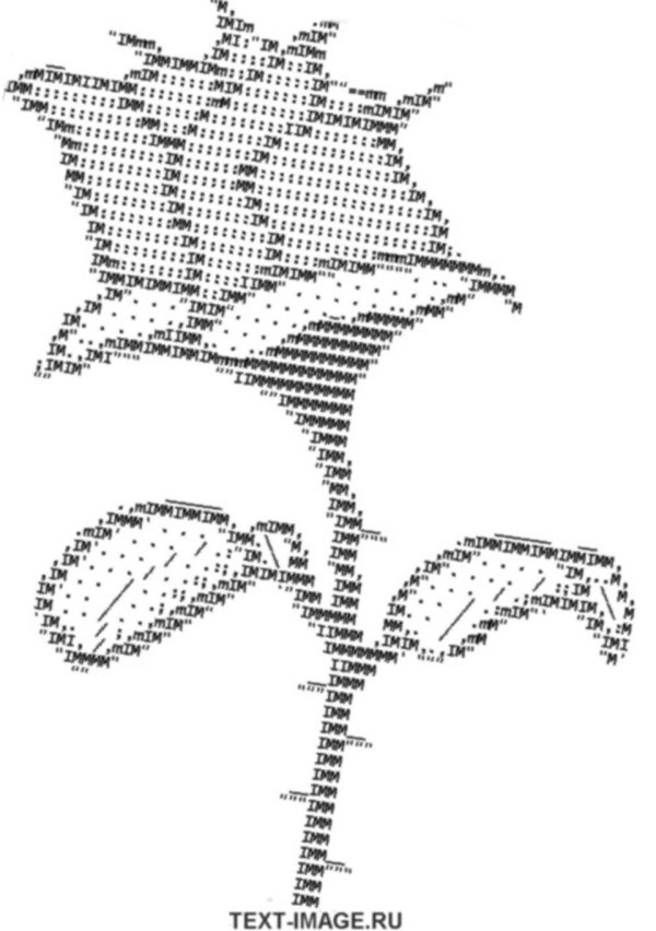 символьный рисунок