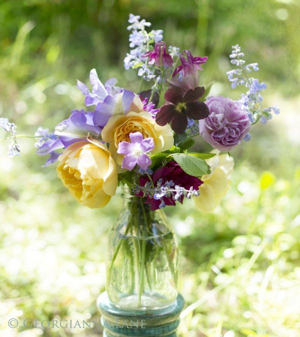 красивые композиции с цветами