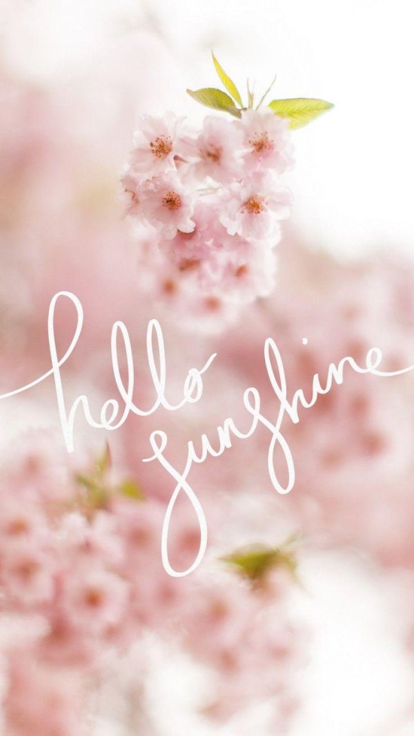 hello spring
