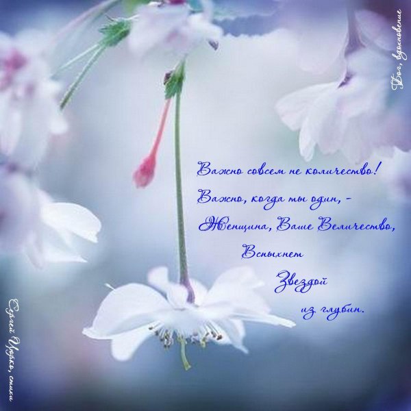 весенняя нежность