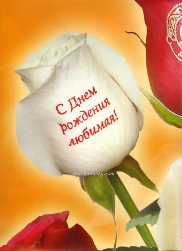 любимая с днем рождения