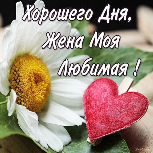хорошего дня любимая жена