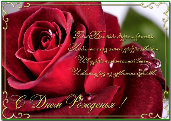 поздравления с днем рождения неве тке