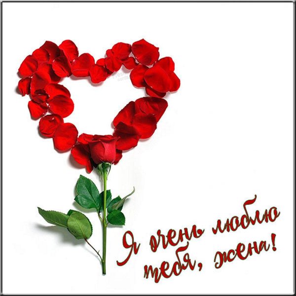 цветок сердце