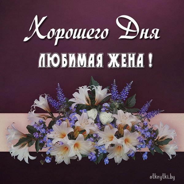 хорошего дня любимая жена