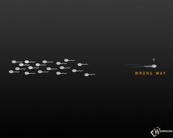 подвижность сперматозоида