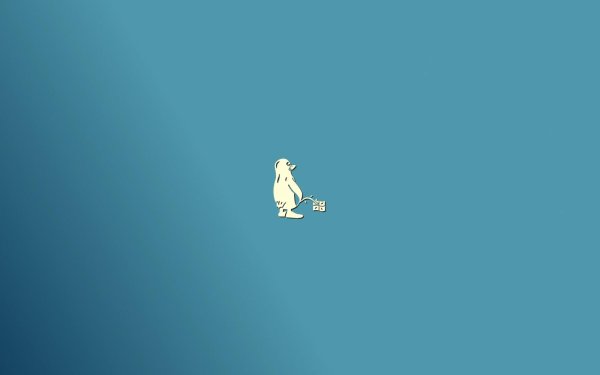 медведи милые