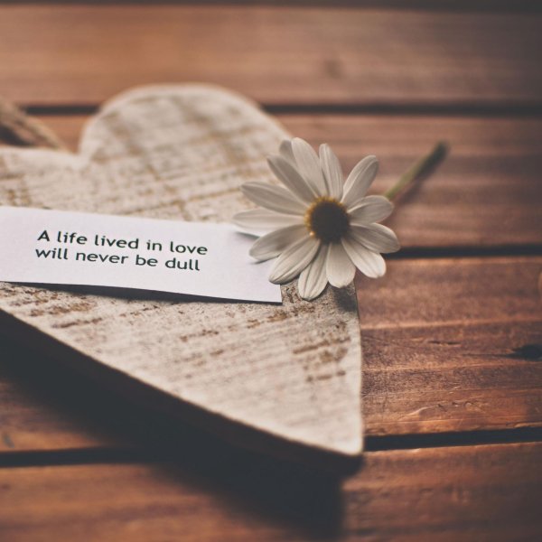 ромашки сердце