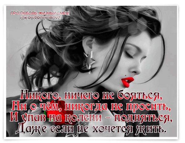 женские цитаты