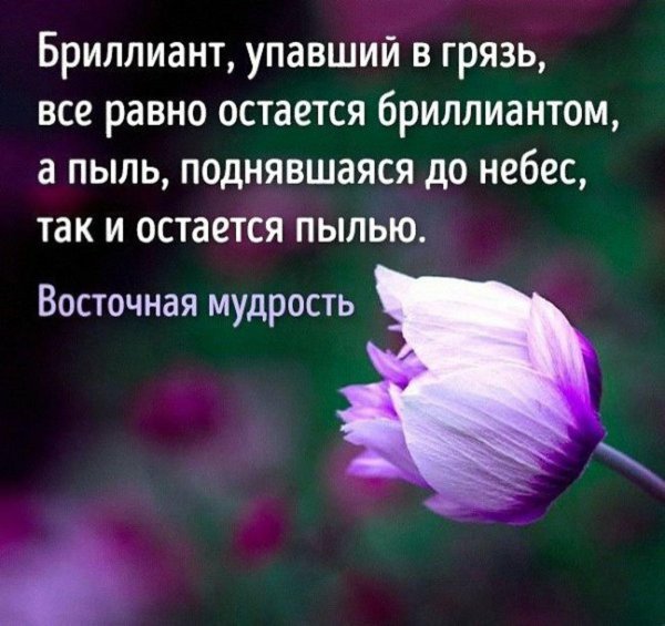 восточная мудрость