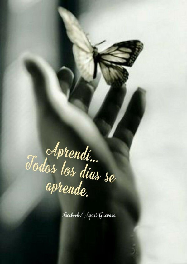 бабочка на ладони