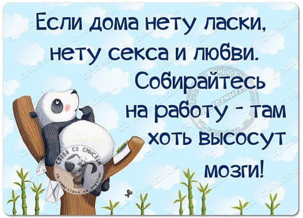 веселые цитаты