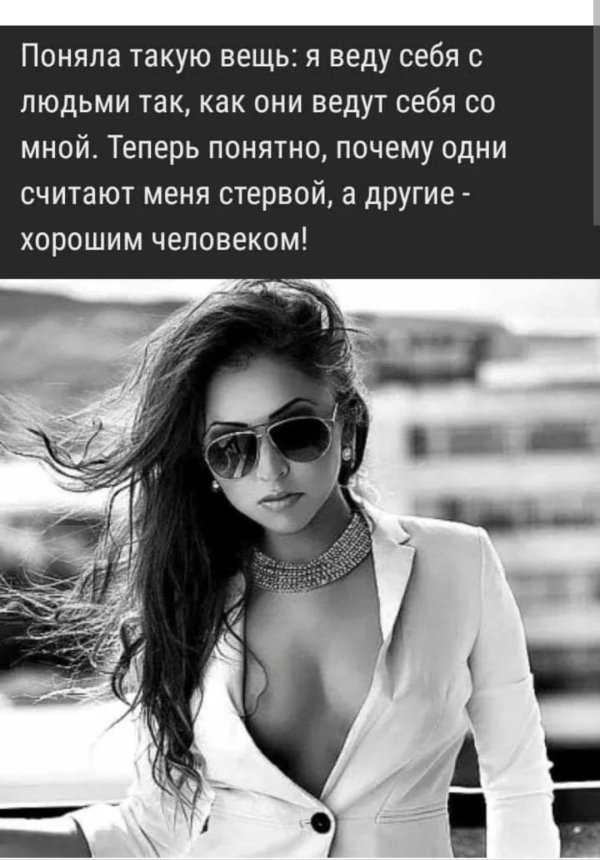 веселые высказывания