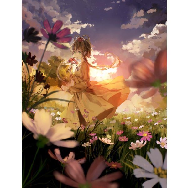 иллюстрации арт