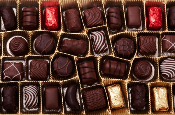 assorted chocolates
