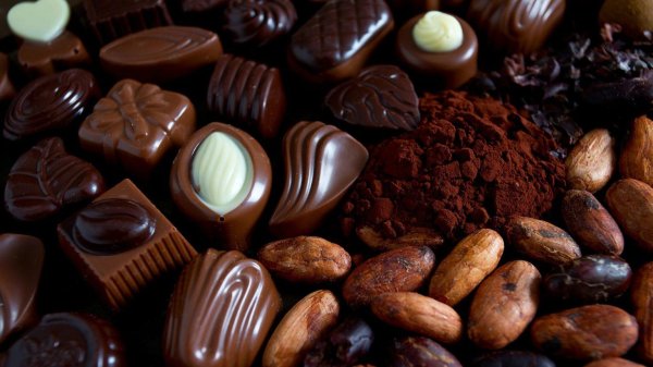 шоколадная конфета