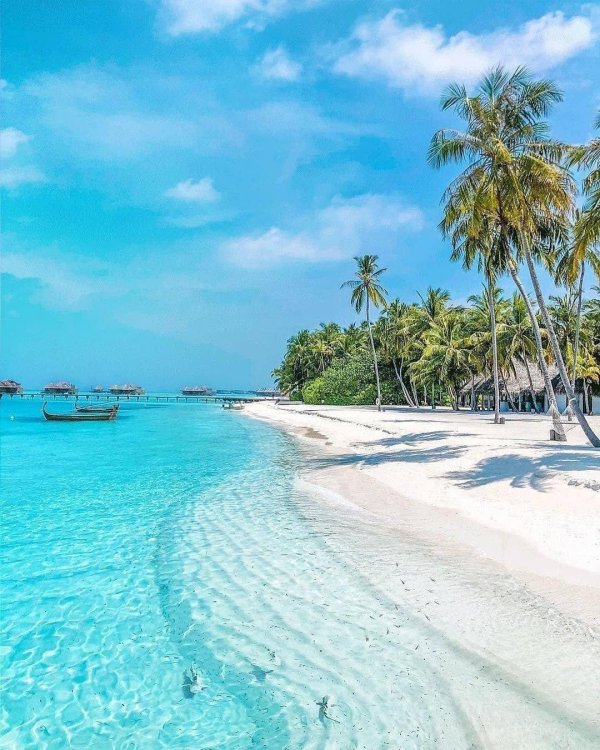 meeru island мальдивы