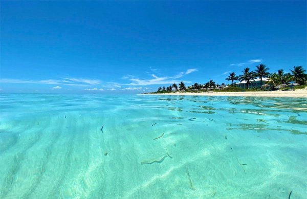 доминикана остров макао