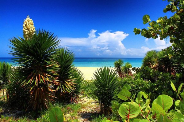 природа кубы