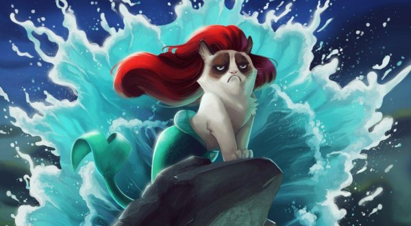 кот русалка