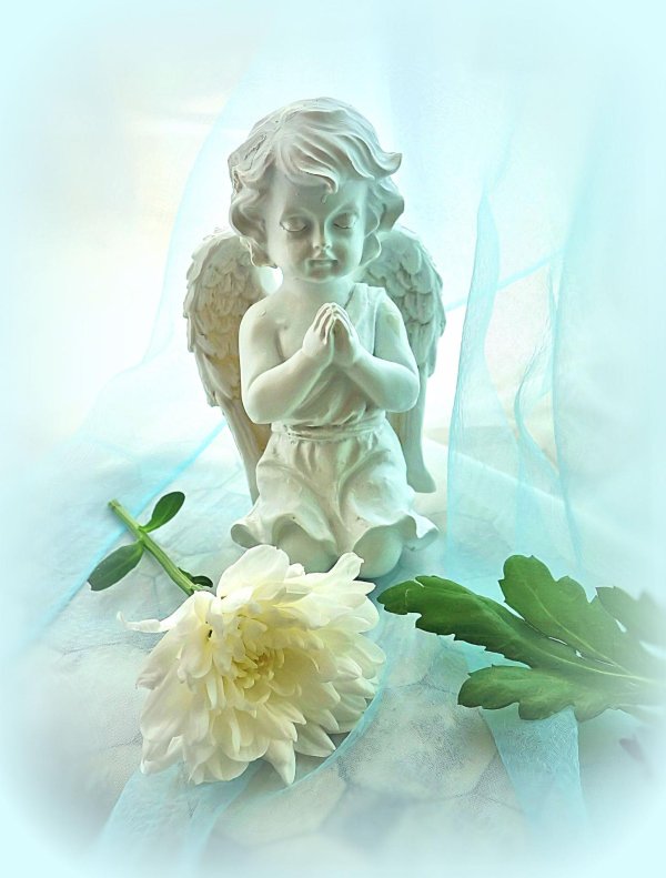 нежный ангелочек