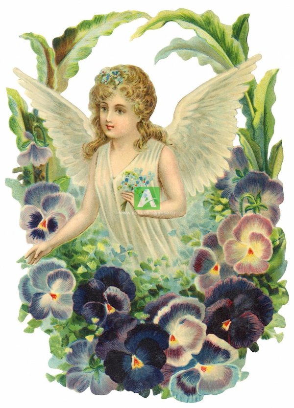 цветы для ангелочка