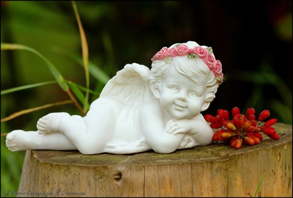 красивые ангелочки