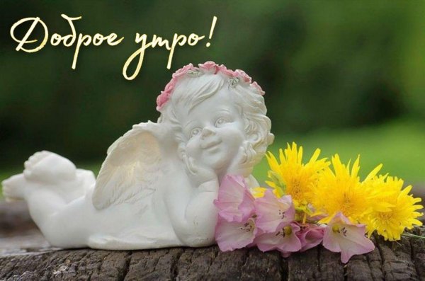 ангелочек в цветке