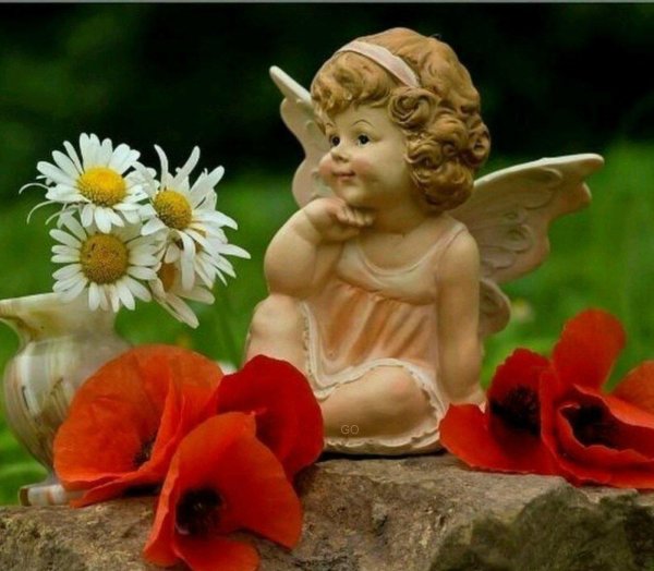 красивые ангелочки
