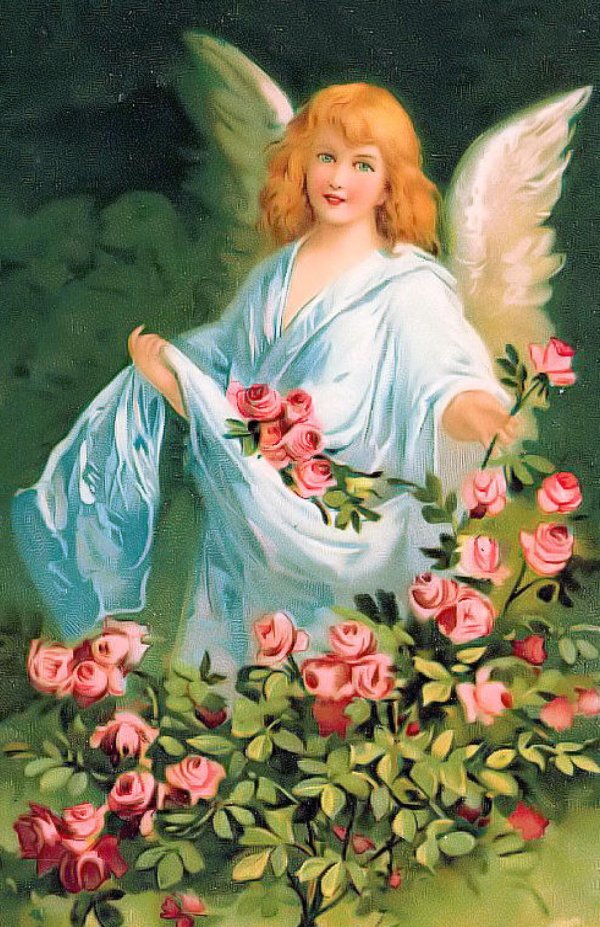 андреев лн ангелочек