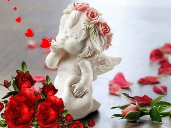 ангелочки цветы