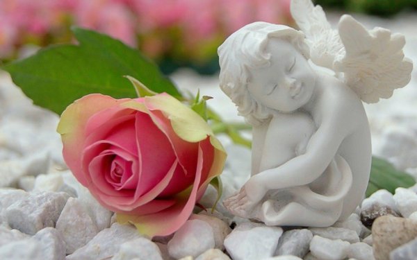 красивый нежный ангелочек