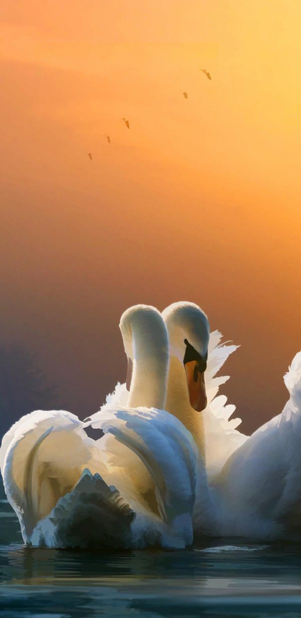 пара лебедей