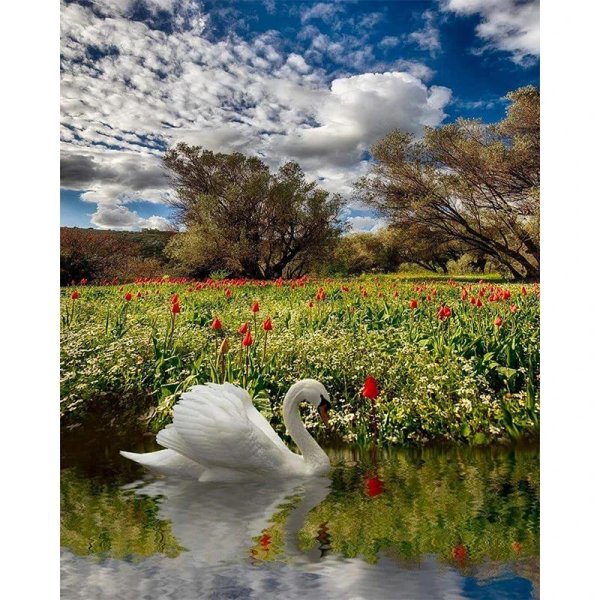 пейзаж с лебедями