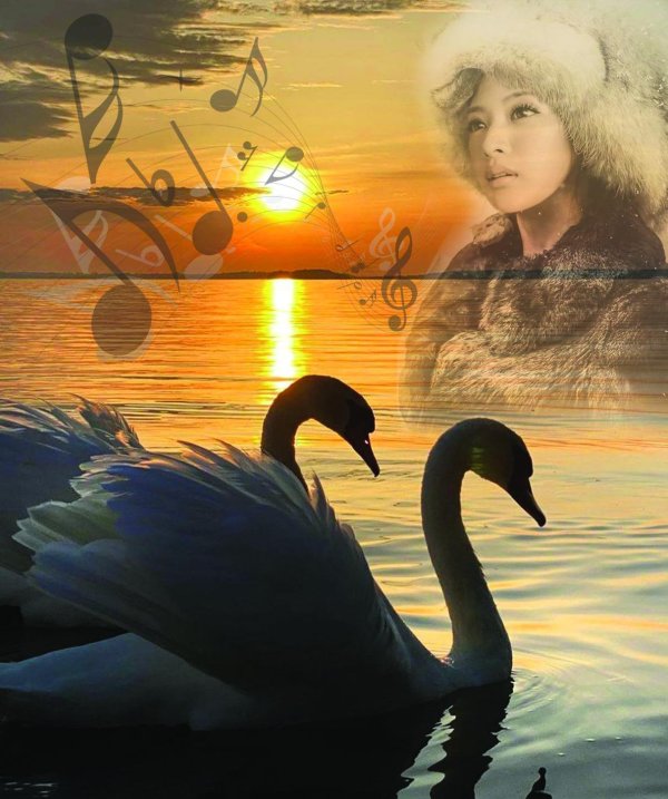 лебединая верность