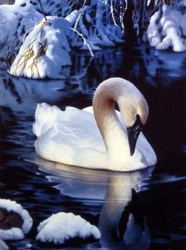 jerry gadamus художник