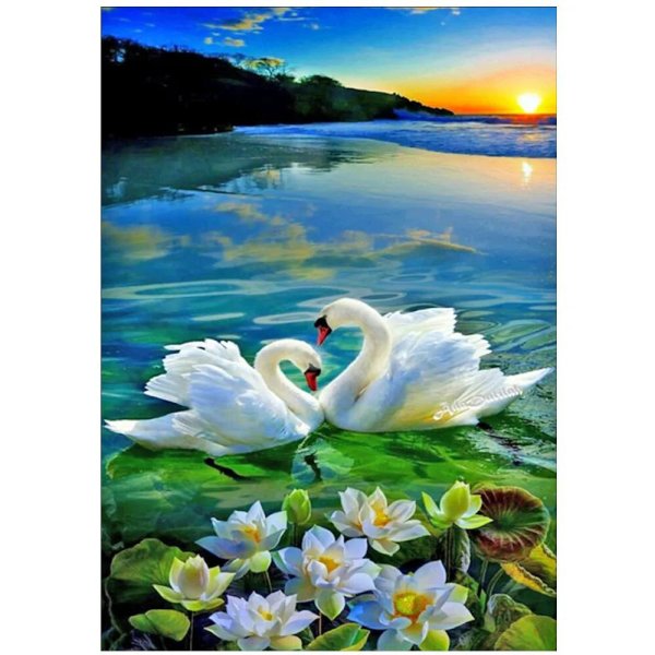 картины по номерам лебеди