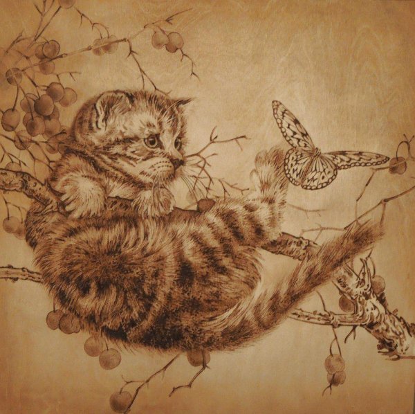 китайская живопись гунби кошки