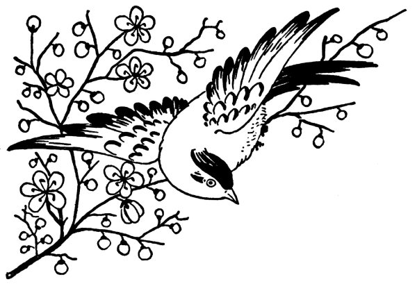 птичка на ветке разукрашка