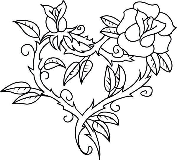 раскраска роз