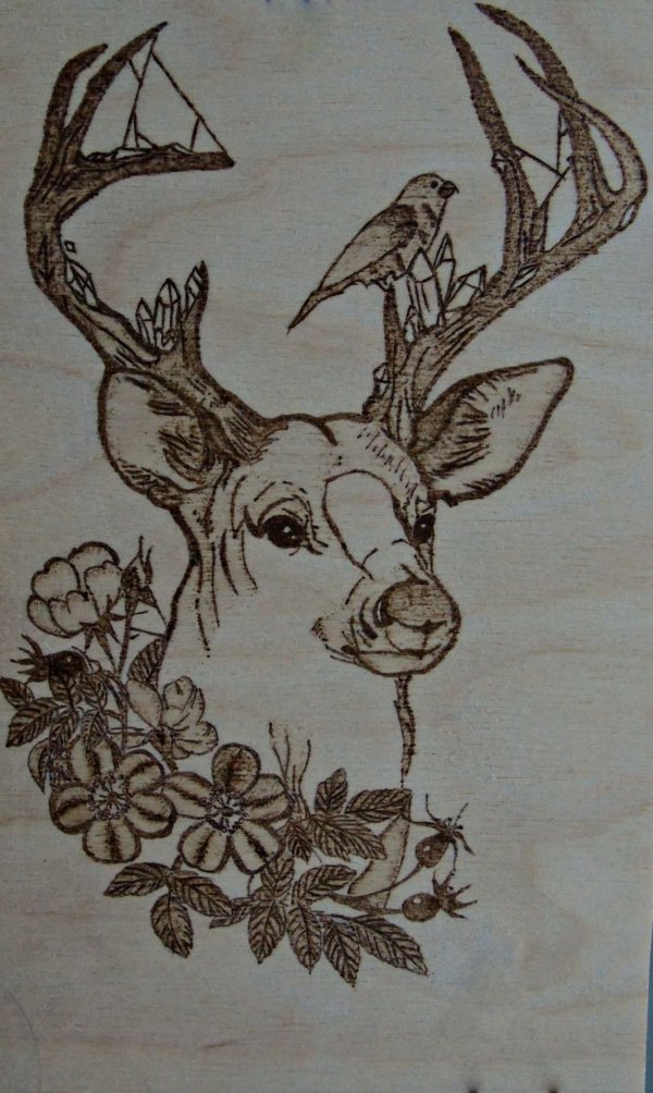 для выжигания по дереву