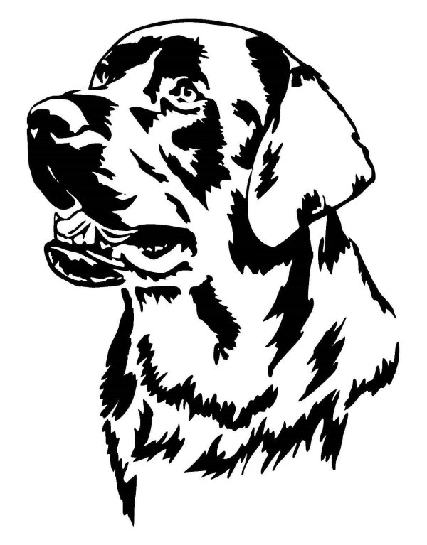 векторное изображение собаки