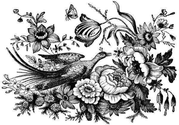 орнамент для выжигания