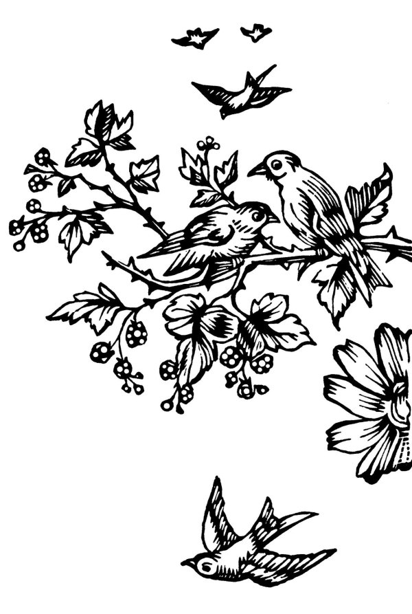 рисунки для выжигание